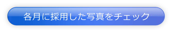 各月に採用した写真をチェック